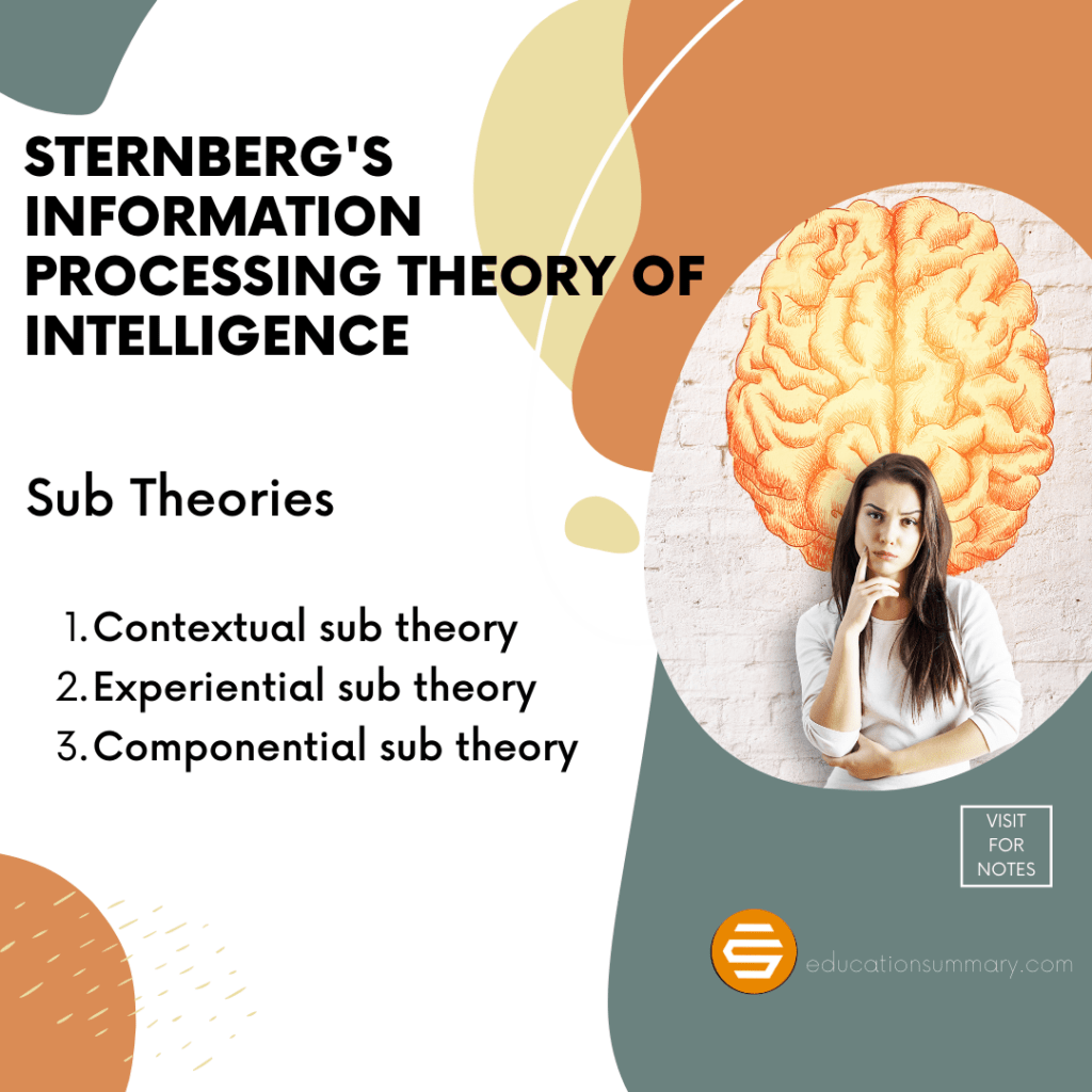 Sternberg's Information Processing Theory of Intelligence B.Ed Notes